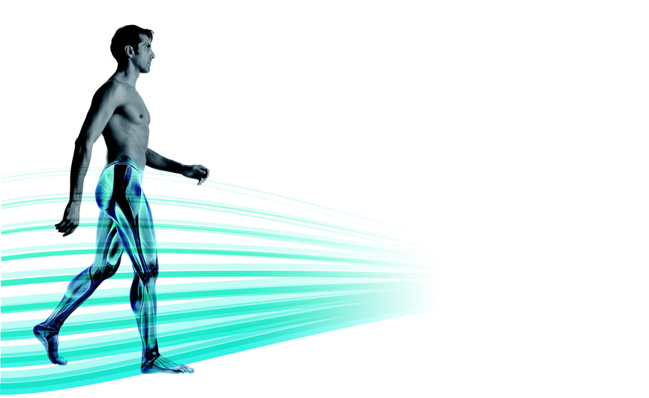 OptoGait Bewegungsanalyse von Microgate