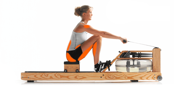 Waterrower Esche und Eiche wieder auf Lager