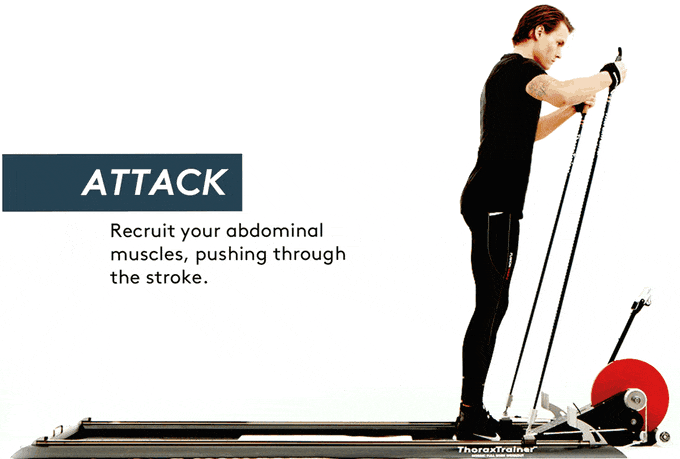 Thorax Trainer Skiergometer Pro Cardio - Neue Version