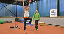Laden Sie das Bild in den Galerie-Viewer, Ivotrainer Widerstandstrainer